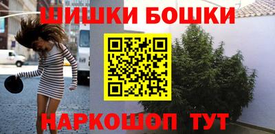 мдпв Долгопрудный