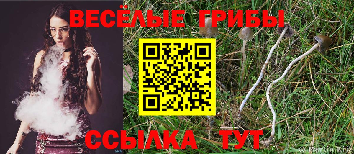 Новоуральск  Псилоцибиновые грибы Psilocybine cubensis  купить закладку  Вход с VPN 
