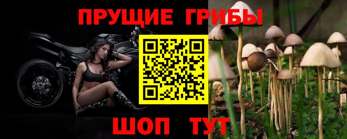 Псилоцибиновые грибы Magic Shrooms Новоуральск